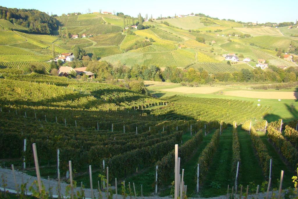 Svecina Farm Stay Jarc Vineyard מראה חיצוני תמונה