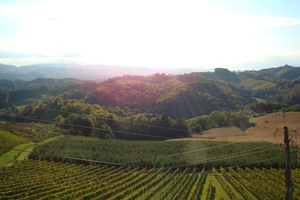 Svecina Farm Stay Jarc Vineyard מראה חיצוני תמונה
