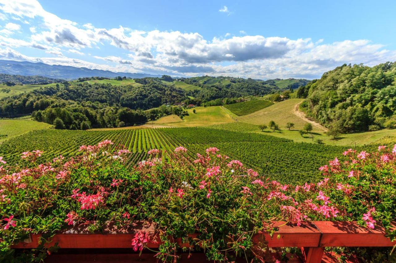 Svecina Farm Stay Jarc Vineyard מראה חיצוני תמונה