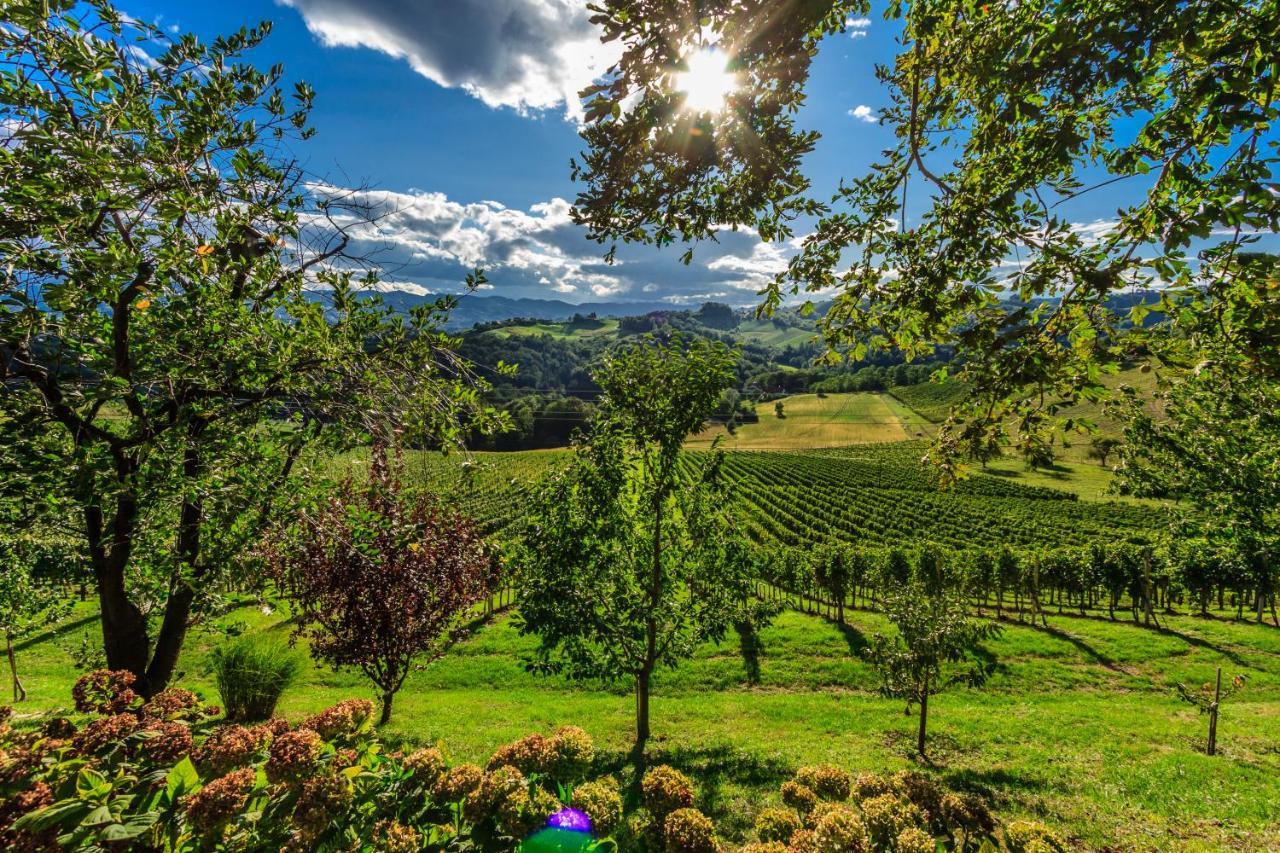 Svecina Farm Stay Jarc Vineyard מראה חיצוני תמונה